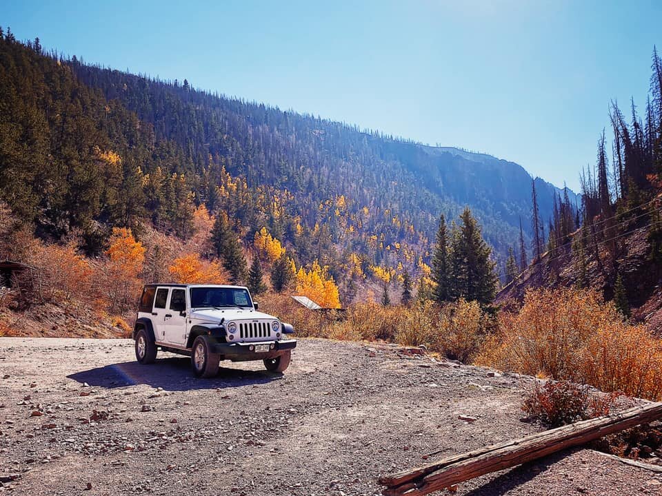 Jeep sitting on hill with forest behind